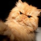 5c8b1f6b240000f404a42477