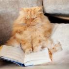 5c8b1f6c22000030001a551e