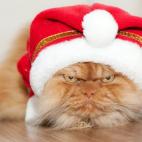 5c8b1f6c20000043047032cc