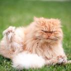 5c8b1f6c230000dd042429e0