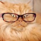 5c8b1f6c22000033001a5526