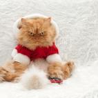 5c8b1f6d2500001304ca191c