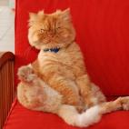 5c8b1f6d2500000d04ca191f