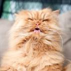 5c8b1f6d360000a61b6c84b3