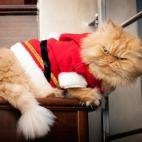 5c8b1f6d2300005400e7a0d0