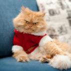 5c8b1f6d2400000a05a4247d