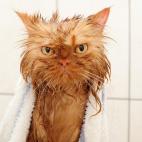 5c8b1f6e22000031001a552a