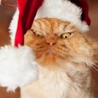 5c8b1f6e22000051001a552e