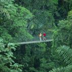 Las estrictas leyes de accesibilidad garantizan que Costa Rica sea un paraíso para los usuarios de sillas de ruedas.