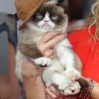 5c8b227c22000031001a5ef1