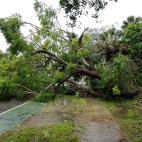 Las cifras preliminares de muertes por la destrucci&oacute;n ocasionada por el hurac&aacute;n Ian en Florida se elevan al menos a 15, seg&uacute;n varios medios de EE.UU. Las estimaciones de p&eacute;rdidas materiales aseguradas oscil...