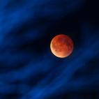 5c8b1e6c22000031001a5214