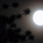 5c8b1e6d22000031001a5218