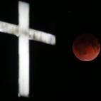 5c8b1e6e2000004304702fb6