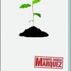 5c8af1ce2000009d036ffe0b