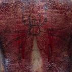 5c8af1f320000045046ffe41