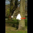 Una forma elegante y casual de hacer pipí en un árbol. (via Bit Rebels)