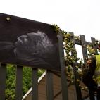 5c8b24aa2500000704ca2860