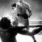 5c8ab06e2400000a05a37fc3