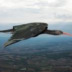 5c8aa0092500000704c94d7b