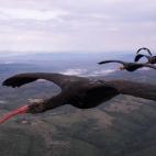 5c8aa00a2300002f00e6d4c6