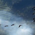 5c8aa00a2500000a068167f1