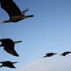 5c8aa00b3b000072066c3bc9