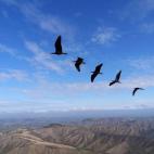 5c8aa00b2400000a05a35834