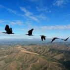 5c8aa00c230000d504235d05