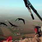 5c8aa00c25000052068167f9