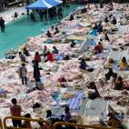 5c8b268b250000e203ca2cbc