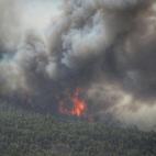 5c8b23a5250000e203ca25a8