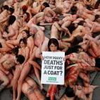 5de3f5492500005723d2ec63