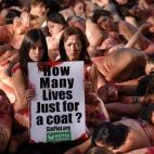 5c8b1bb3360000c81a6c7a51