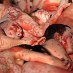 5c8b1bb52500001304ca0e96