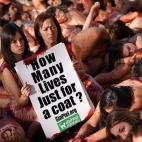 5c8b1bb52400000a05a41a5c