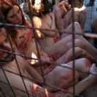 5c8b1bb63b000002076cfc3b