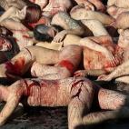 5c8b1bb82300002f00e79664