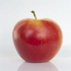 Son un gran riesgo de cáncer a menos que sean orgánicas o certificadas como libres de pesticidas. El Environmental Working Group (EWG) encontró que hasta el 98% de los productos perecederos convencionales está contaminados con pesticidas que...