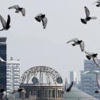 5c8a865e2000009d036f41be