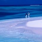 En el noreste del país y a 38 kilómetros de la costa se encuentra este paraíso en el tierra, un lugar ideal para disfrutar y relajarse. Los paisajes de la isla son inigualables, además de su interesante folklore y el clima tropical. Ver má...