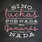 5c8b0e13230000040124012e