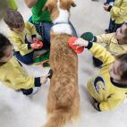 5dad7c7f210000431d34a8bd