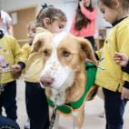 5dad7c72210000431d34a8b9