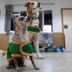 5dad7c7a210000621b34a8bb