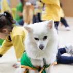 5dad7c7b200000d21950644d