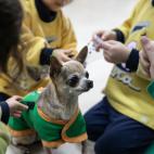 5dad7c7f200000631b50644f