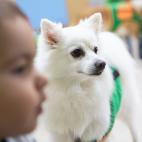 5dad7c74210000911d34a8ba