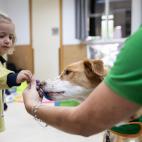 5dad7c782100006020ad3649