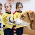 5dad7c72200000d21950644b